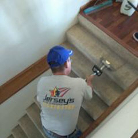 carpet cleaning services