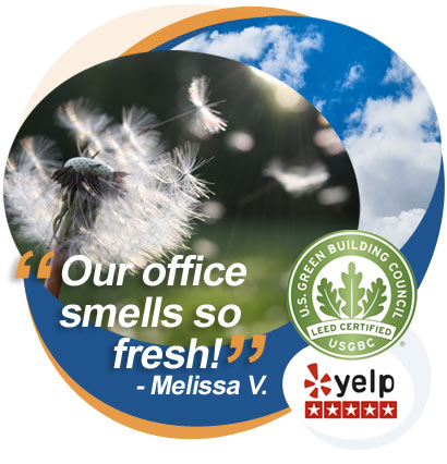 disinfecting review services